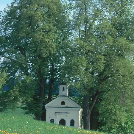 酒店 Birkenhof Therme 3*