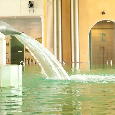 Otel Birkenhof Therme Bad Griesbach (Bavaria)